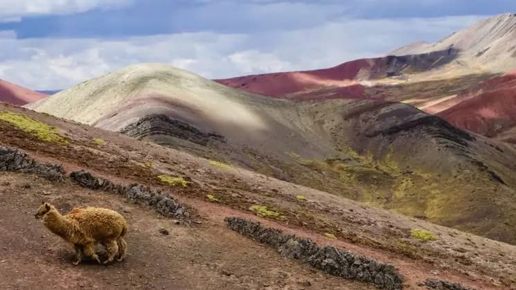 Salta esencial - Imagen 3
