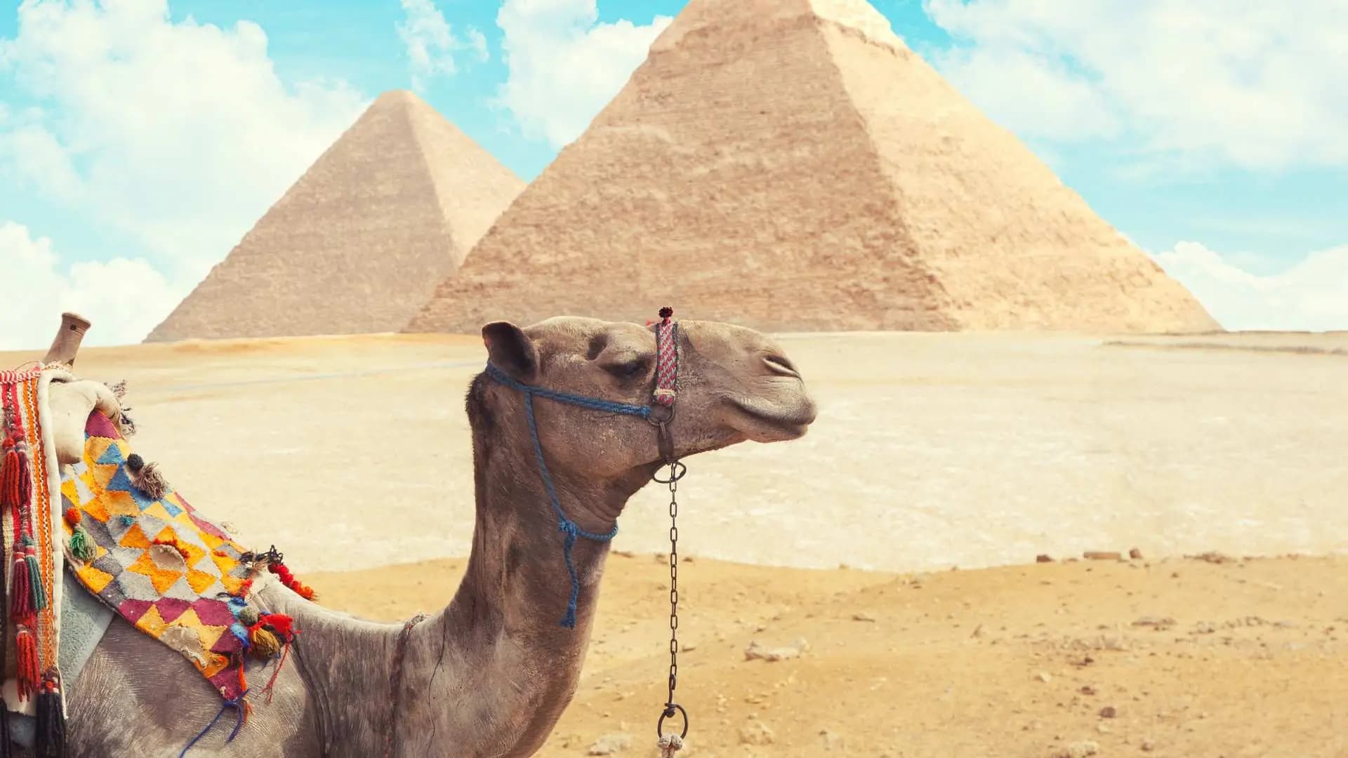 Egipto & Mar Rojo - Imagen 1