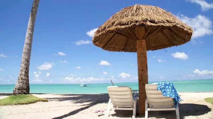 Porto de Galinhas y Maragogi - Nordeste - Imagen 13