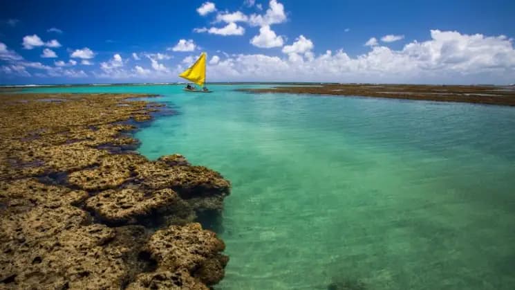 Porto de Galinhas y Maragogi - Nordeste - Imagen 10