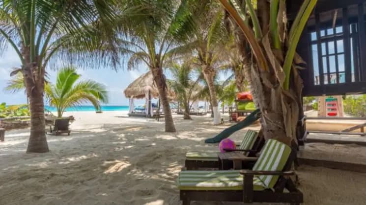Cancún All Inclusive en Flamingo Cancún Resort - Imagen 5