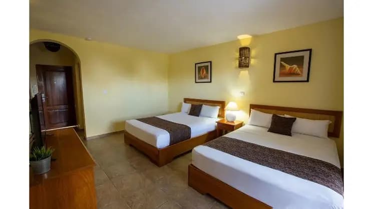 Punta Cana All Inclusive en whala!Bávaro - Imagen 42