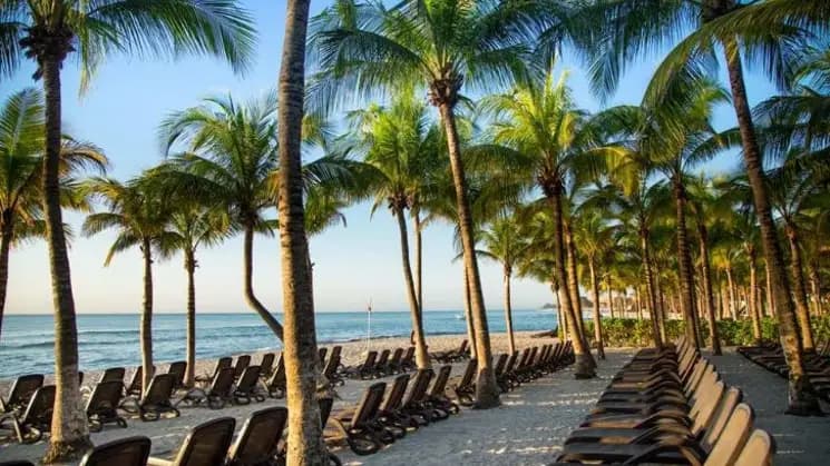 Playa del Carmen All Inclusive en Sandos Caracol Eco Resort - Imagen 2