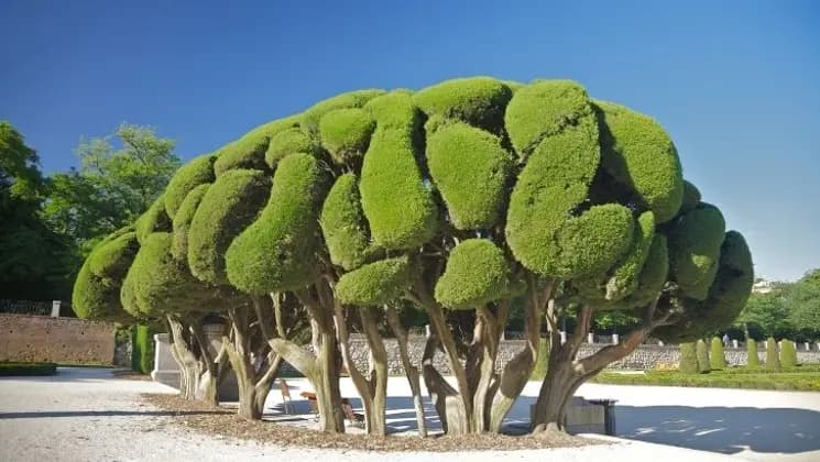 Madrid, España - Imagen 10